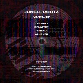 Download track Platter Jungle Rootz