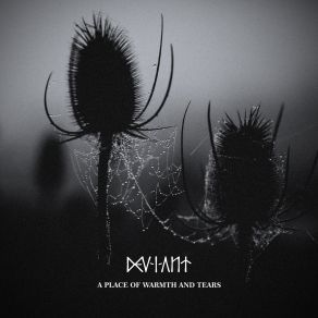 Download track A Place Of Warmth And Tears Dev-I-Ant