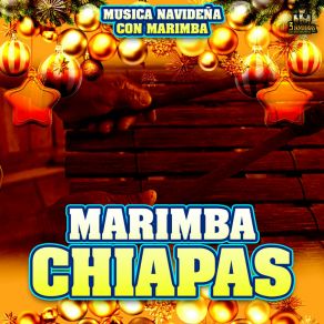 Download track El Niño Del Tambor Marimba Chiapas