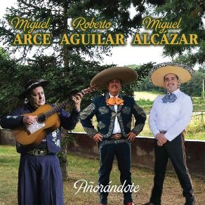Download track No Te Podré Olvidar Miguel Alcázar