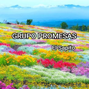 Download track Pensaras En Mi Grupo Promesas