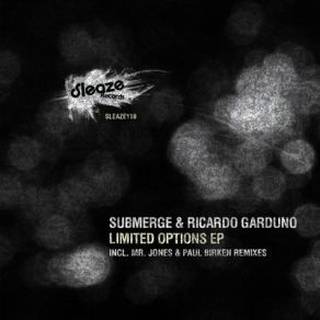 Download track Objective (Paul Birken Remix) Submerge, Ricardo Garduno