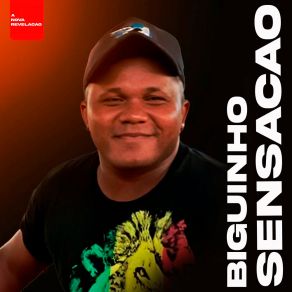 Download track Meu Xodo Biguinho Sensação