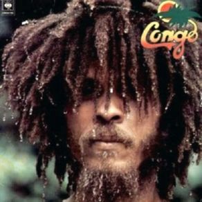 Download track Music Dub The Congos