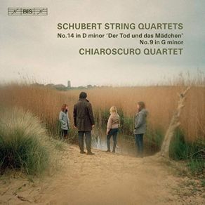 Download track 07. String Quartet No. 9 In G Minor, D. 173 III. Menuetto. Allegro Vivace Franz Schubert