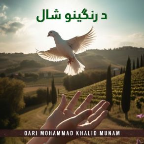 Download track دوۍ د خپلواکۍ د ارمان ستوري Qari Mohammad Khalid Munam