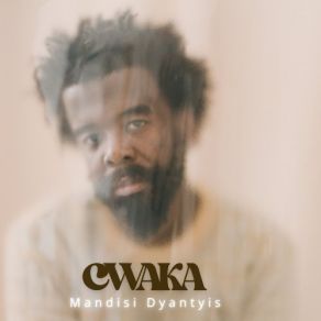 Download track Cwaka Mandisi Dyantyis