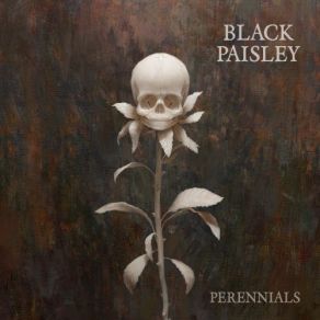 Download track Trying Black Paisley