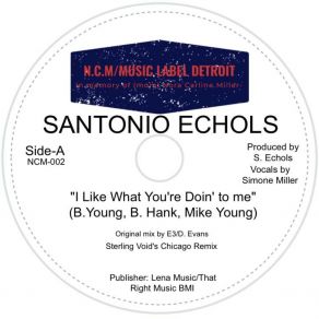 Download track I Like What You're Doin To Me (Original Mix) Simone Miller