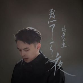 Download track 熬了一个夜 (伴奏版) 林光量