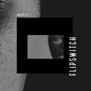 Download track Flipswitch, Pt. 1 Mochlic