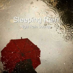 Download track Forest Fx Rain Night Rain Sounds