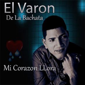 Download track Vida El Varon De La Bachata