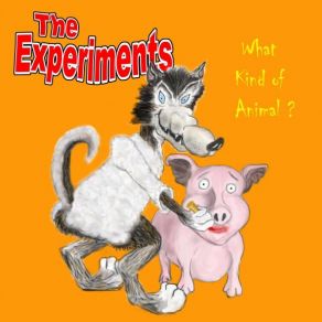 Download track Sunlight The Experiments