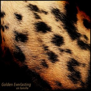 Download track Single For A Double Golden Everlasting