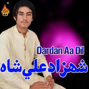 Download track Awan Jay Husan Ja Shahzad Ali Shah