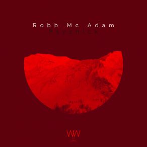 Download track Analog Scale Robb Mc Adam