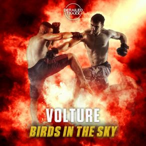 Download track Birds In The Sky The Volture