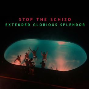 Download track 3007 Stop The Schizo