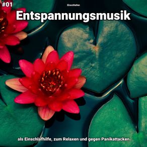 Download track Entspannungsmusik Pt. 56 Einschlafen