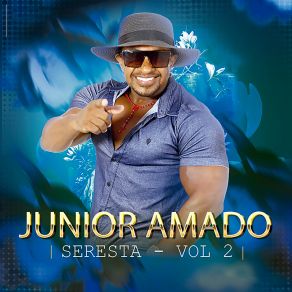 Download track Você Não Sabe De Mim Júnior Amado