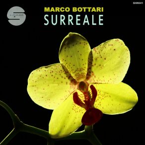 Download track Surreale (Original Mix) Marco Bottari