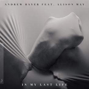 Download track In My Last Life (Dave Dk Remix) Andrew Bayer