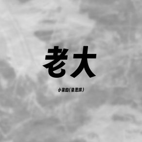 Download track 老大 (飒爽版) 小梁的（梁思琪）