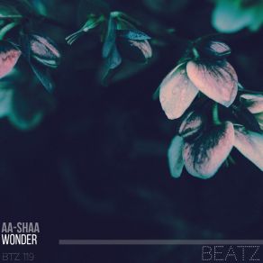 Download track Wonder (Dub Mix) AA-Shaa