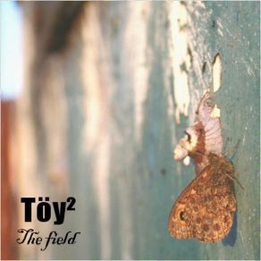 Download track Fifth Töy²