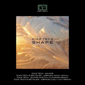 Download track Shape (Digital Flowers Remix) SeydlerDigital Flowers