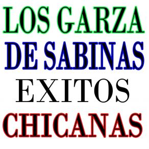 Download track Panfilita Los Garza De Sabinas