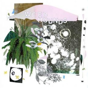 Download track At Night Weed Hounds