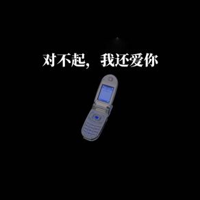 Download track 对不起，我还爱你 是你的Htt