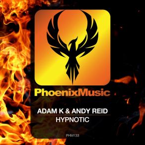 Download track Hypnotic (Edit) Andy Reid