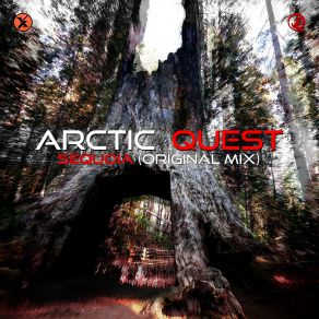 Download track Sequoia (Radio Edit) Arctic Quest