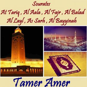 Download track Sourate Al Bayyinah (Hafs Muratal) Tamer Amer