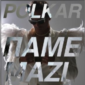 Download track ΠΑΜΕ ΜΑΖΙ Polkar