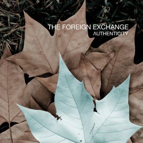 Download track Everything Must Go The Foreign Exchange