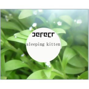 Download track Sleeping Kitten (R͘͡e҉҉́ ̕╼r҉̴͝e͟I͟ ̀͏c̢o̧̧rd̵̛͟ņ̸’̧g ̕) ๛ Defe [T