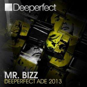 Download track Immersion (Original Mix) Mr. Bizz