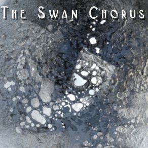 Download track Performance Anxiety The Swan Chorus