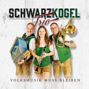 Download track Kirchtag Ist Im Dorf Schwarzkogel Trio