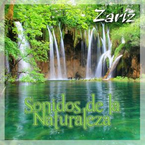 Download track Vertiente De Paz Zariz