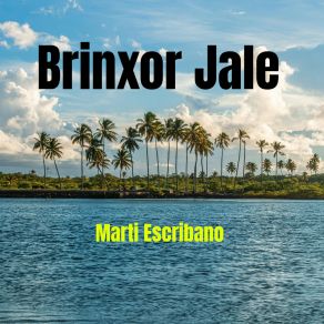 Download track Brinxor Jale Marti Escribano