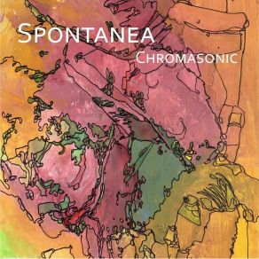 Download track A Riot Of... Spontanea