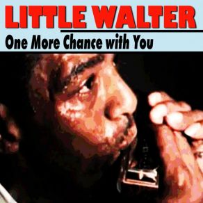 Download track It's Too Late Brother Little Walter