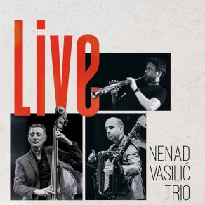 Download track Ljubavna Nenad Vasilic