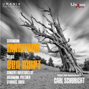 Download track Manfred, Op. 115, Act I: Overture Radio - Sinfonieorchester Stuttgart, Carl Schuricht