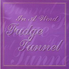 Download track Ten Percent Fudge Tunnel